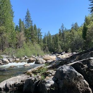 Meet your Posher, Liz